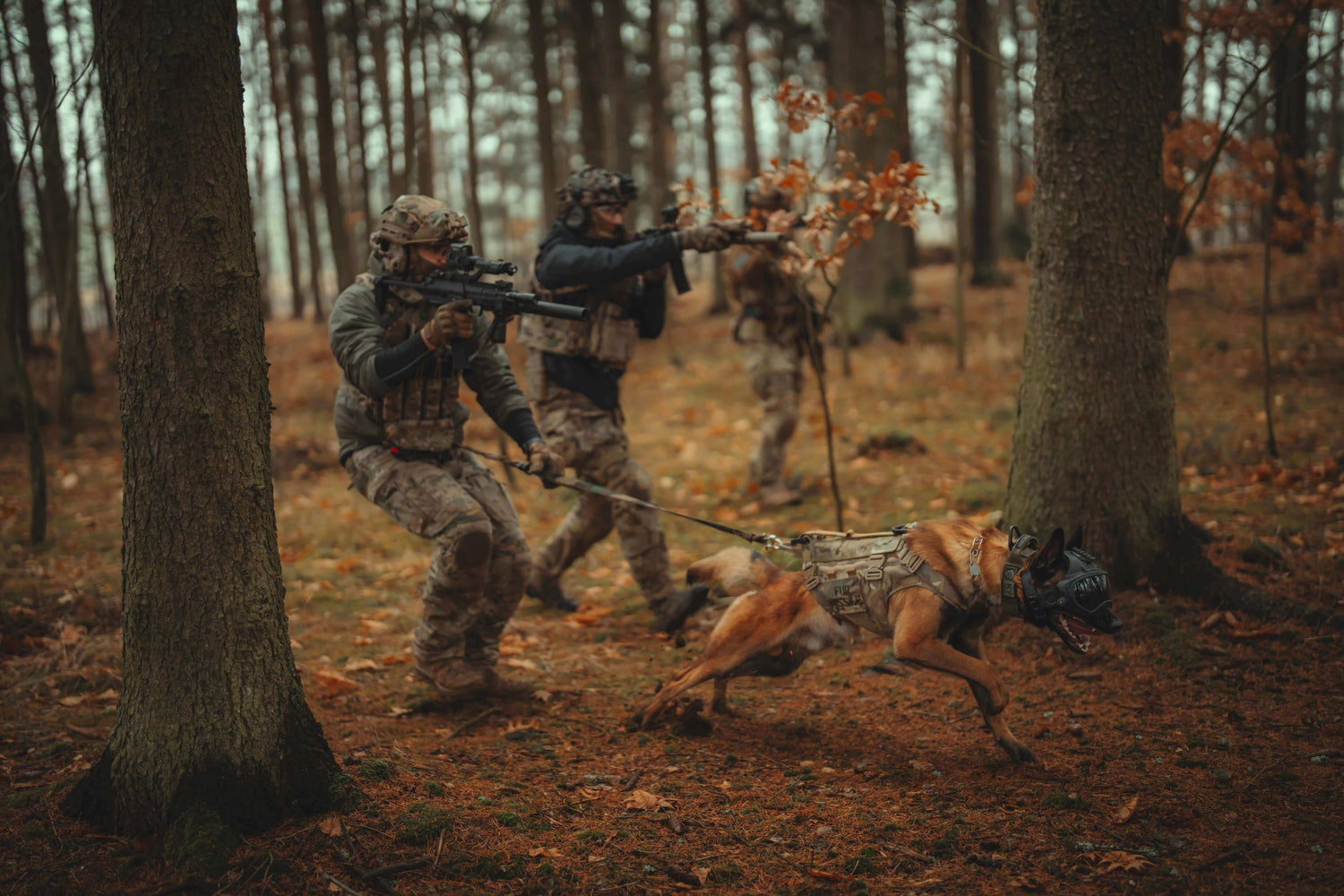 Tjänstehund i aktion tillsammans med soldater i en skogsmiljö, utrustade för taktiska uppdrag.