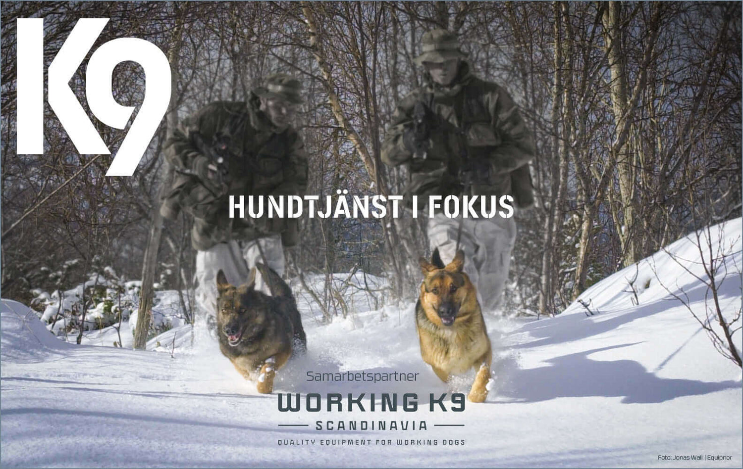 Working K9 logo with soldiers and dogs in a snowy landscape, promoting dog service focus and collaboration.