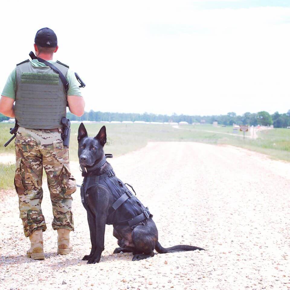 A handler and a working dog in tactical gear on a gravel road, showcasing appropriate vest and harness for service dogs.