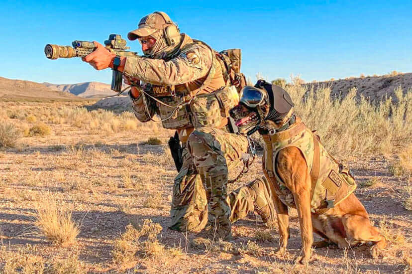 A police officer in tactical gear aiming a weapon alongside a working dog wearing protective gear in a desert environment.