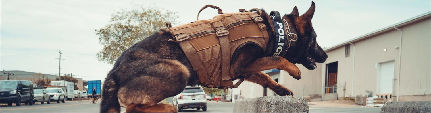 Police dog leaping in tactical harness, showcasing high-quality Recon K9 equipment for service dogs.