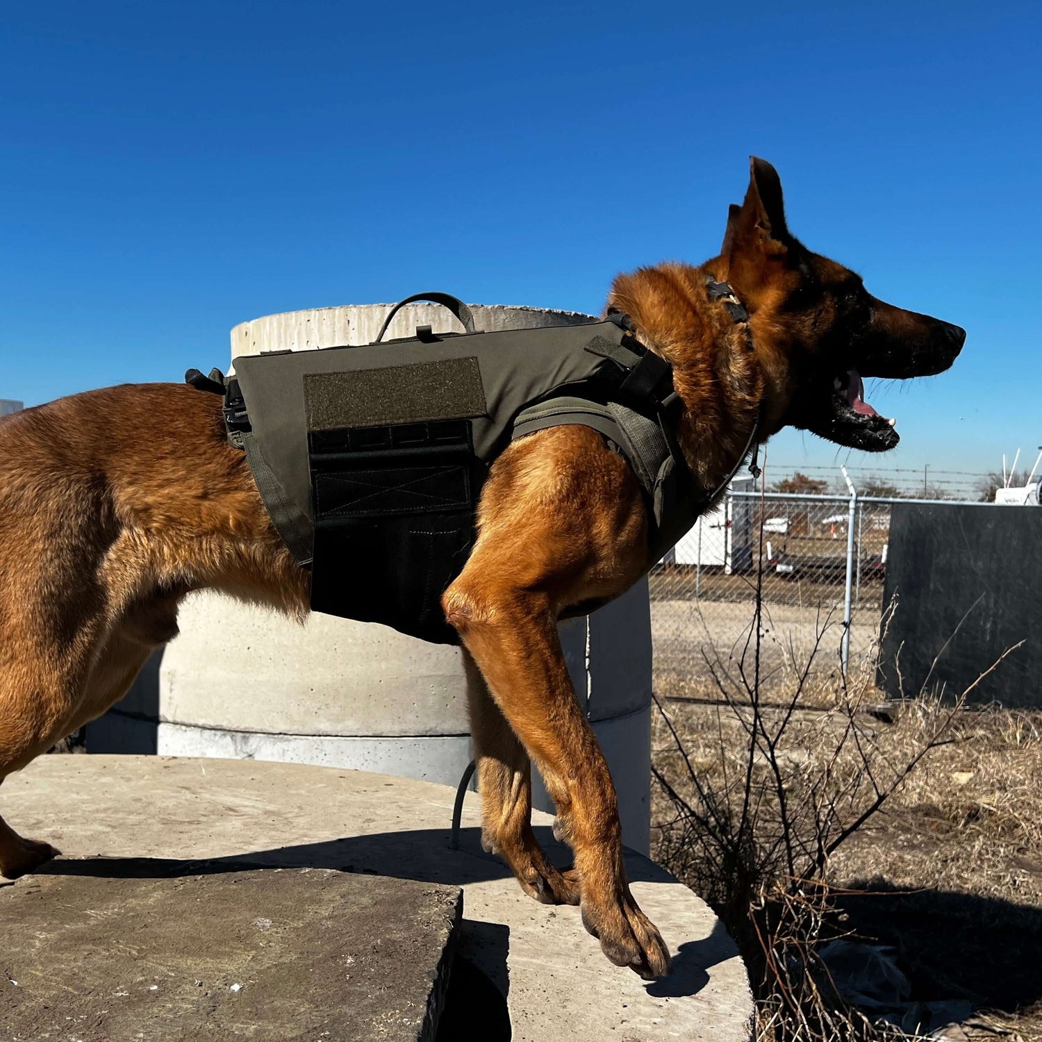 Taktisk hundsele för tjänstehund - DT Alpha Tactical K9 Vest