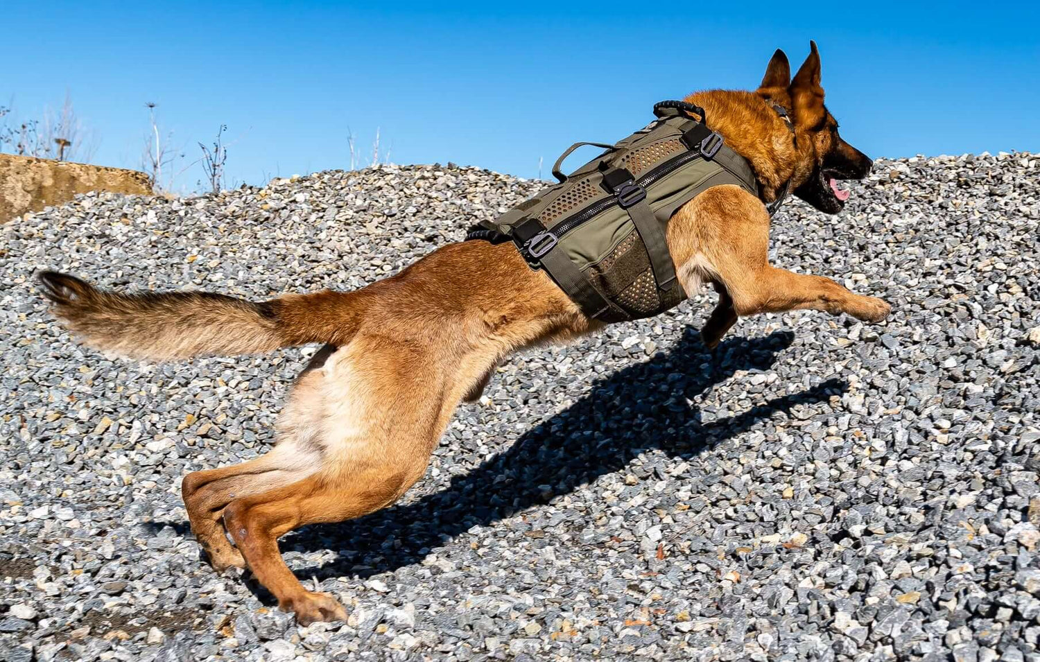 Taktisk hundsele för tjänstehund - DT Alpha Tactical K9 Vest