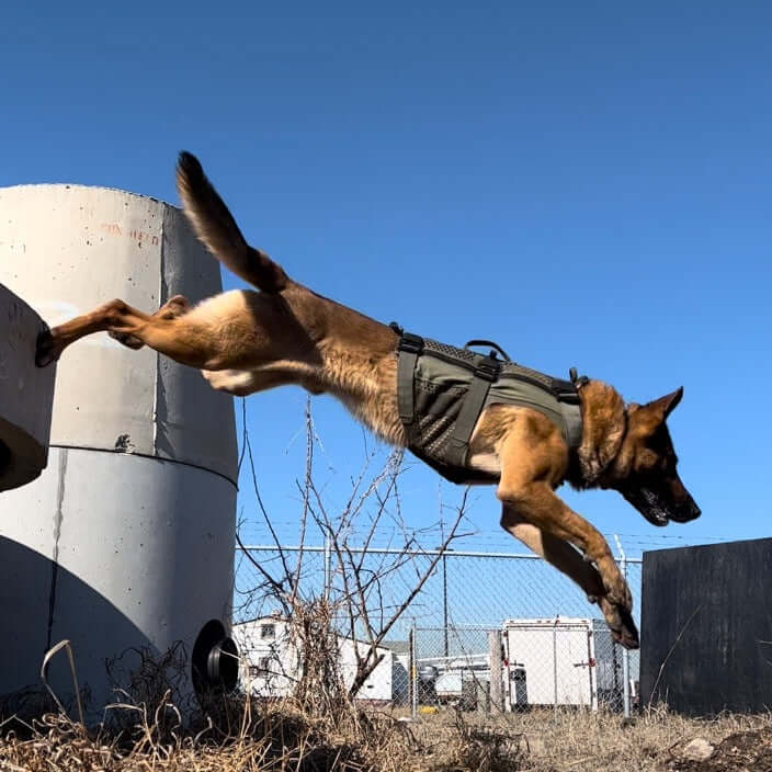 Taktisk hundsele för tjänstehund - DT Alpha Tactical K9 Vest