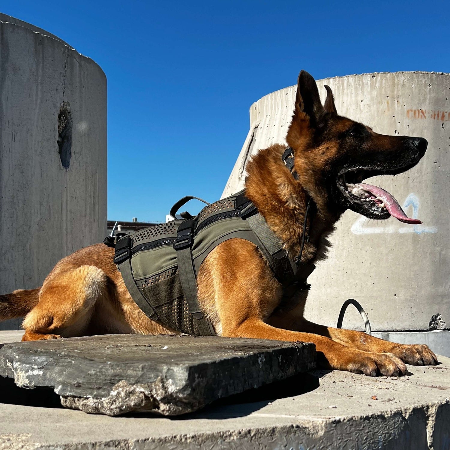 Taktisk hundsele för tjänstehund - DT Alpha Tactical K9 Vest