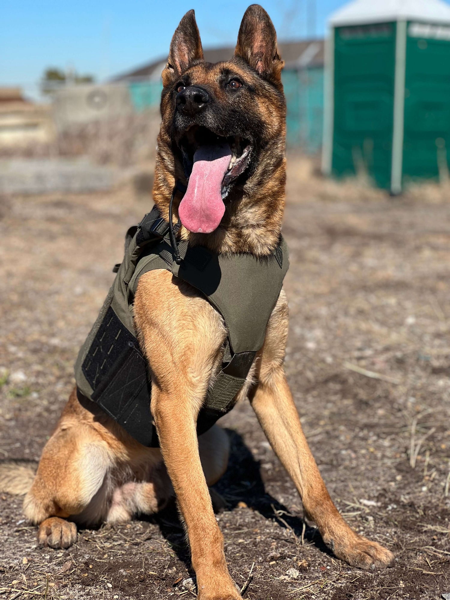 Taktisk hundsele för tjänstehund - DT Alpha Tactical K9 Vest
