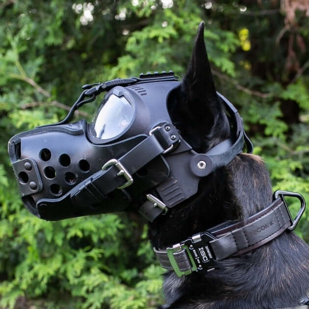 Superstarkt läderhalsband - Leather Agitation Collar