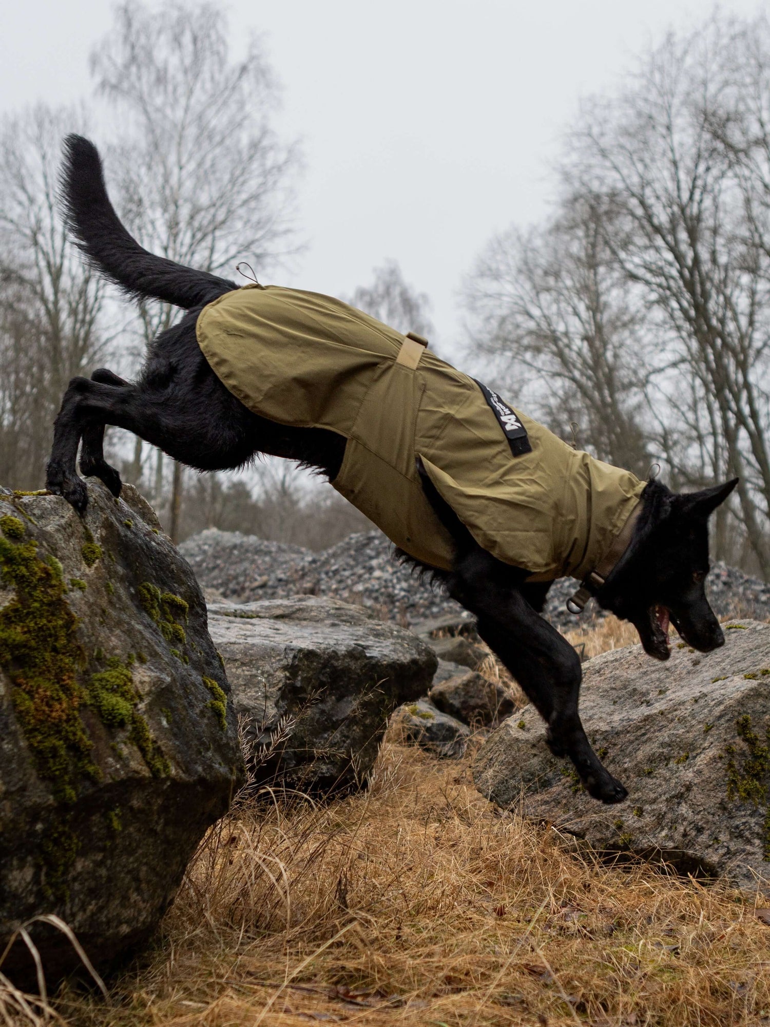 Black dog in Fjord Raincoat WD jumping over rocks in a rugged terrain.