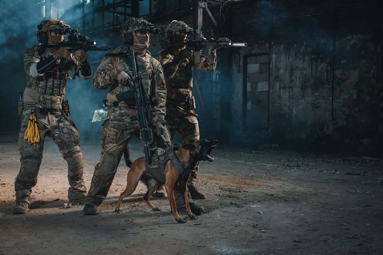 Taktisk hundsele från välrenommerade Combat Systems.