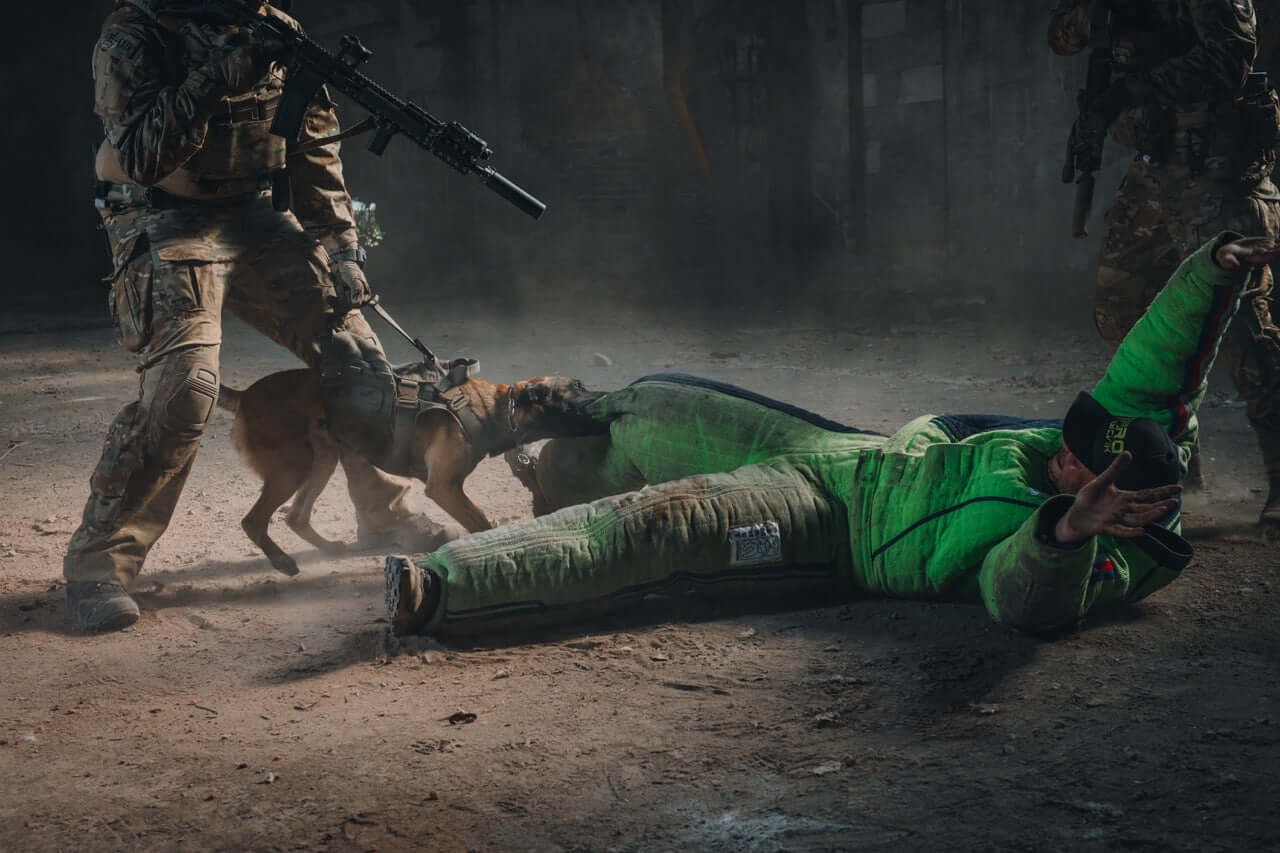 Taktisk hundsele från välrenommerade Combat Systems.