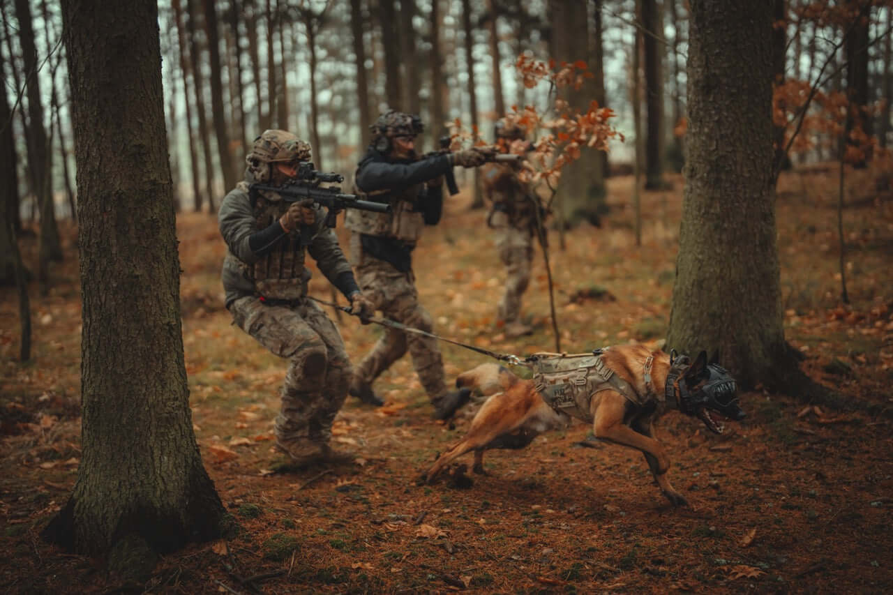 Taktisk hundsele från välrenommerade Combat Systems.