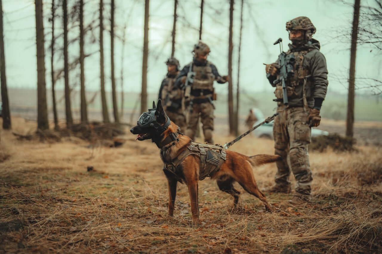 Taktisk hundsele från välrenommerade Combat Systems.
