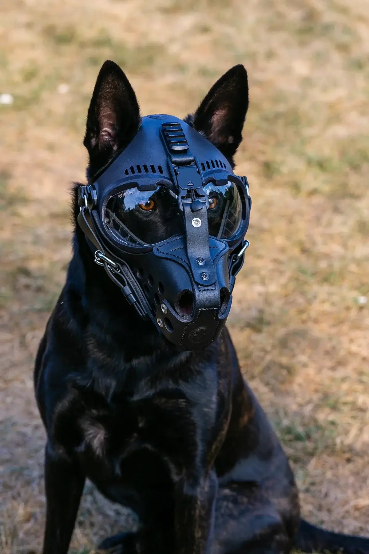 K9 Helm CS-1 - hundhjälm, pålitligt skydd för din hund!