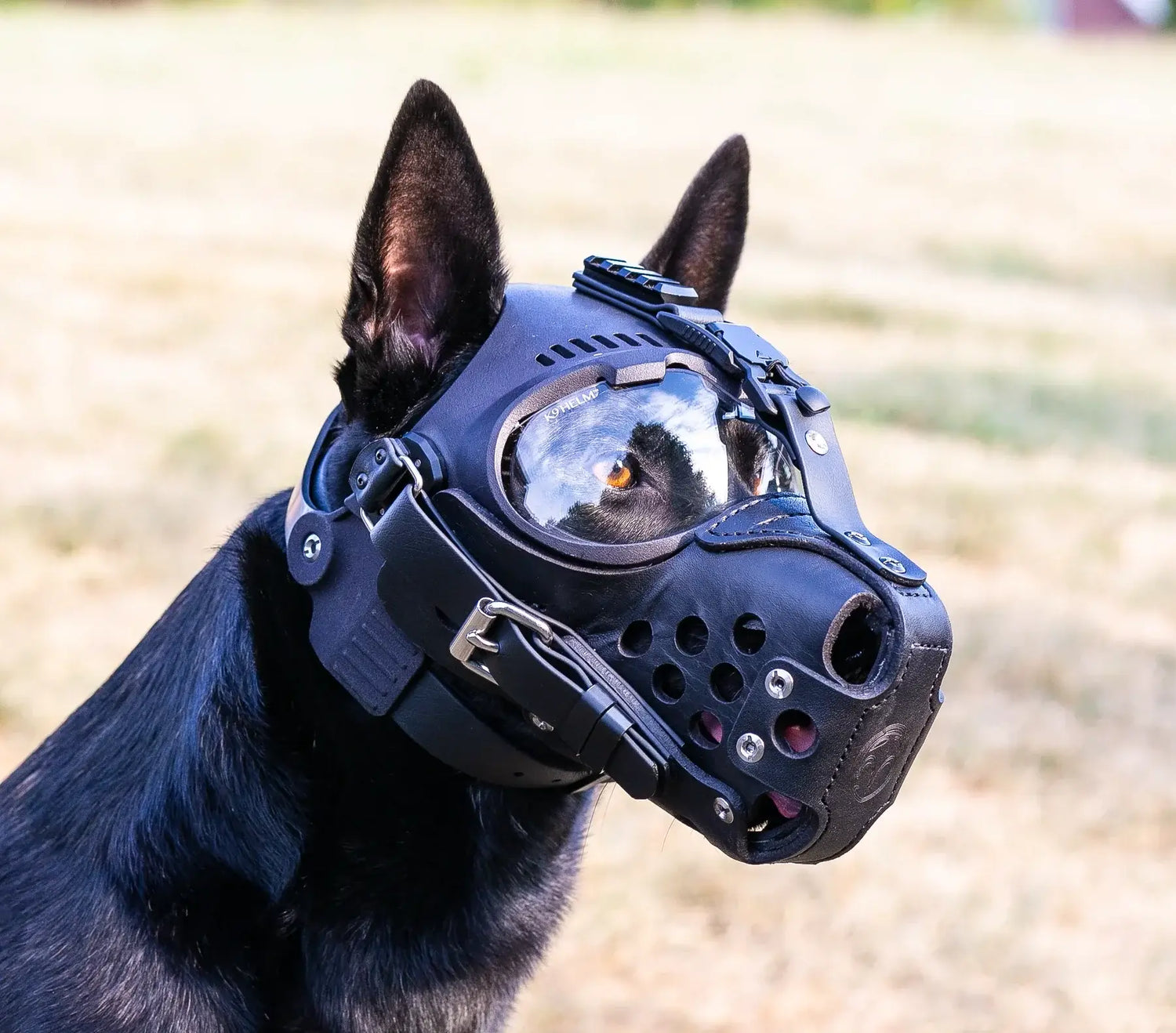 K9 Helm CS-1 - hundhjälm, pålitligt skydd för din hund!