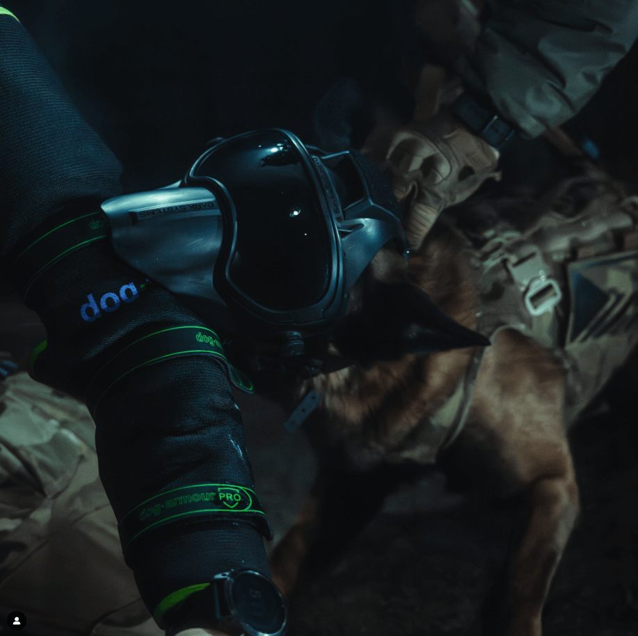 Dold bitärm för hundträning, IGP, tjänstehund