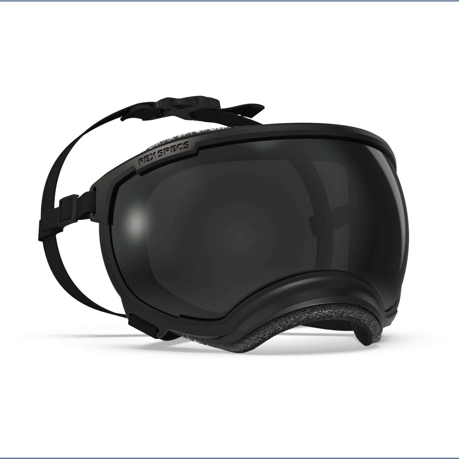 Rex Specs skyddsglasögon för hund.