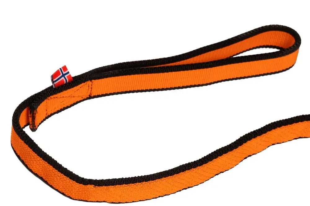 Bungee leash - elastiskt hundkoppel för alla aktiviteter!
