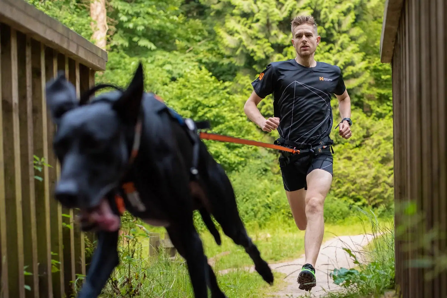 Bungee leash - elastiskt hundkoppel för alla aktiviteter!