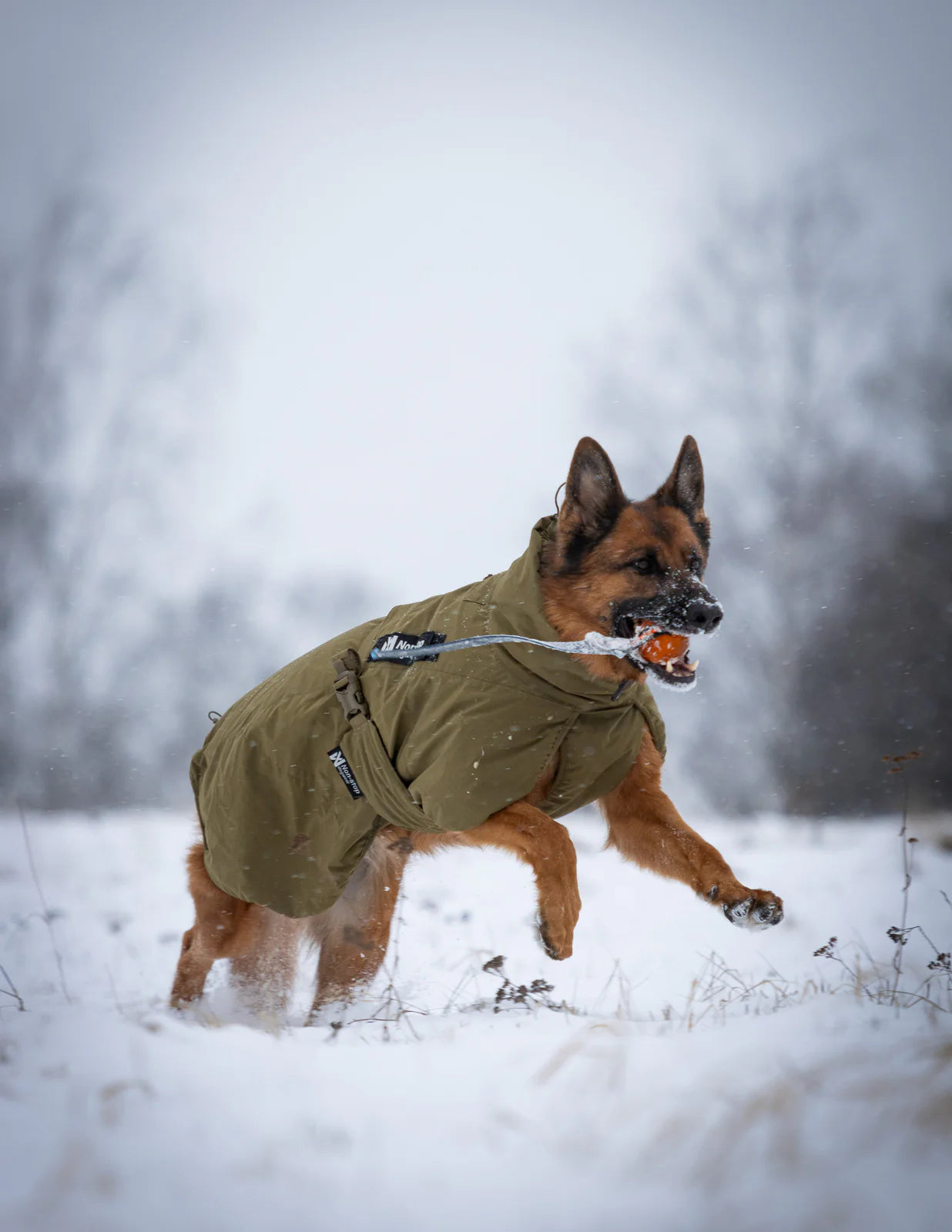 Dog jacket for work & service - Glacier K9 jacket WD