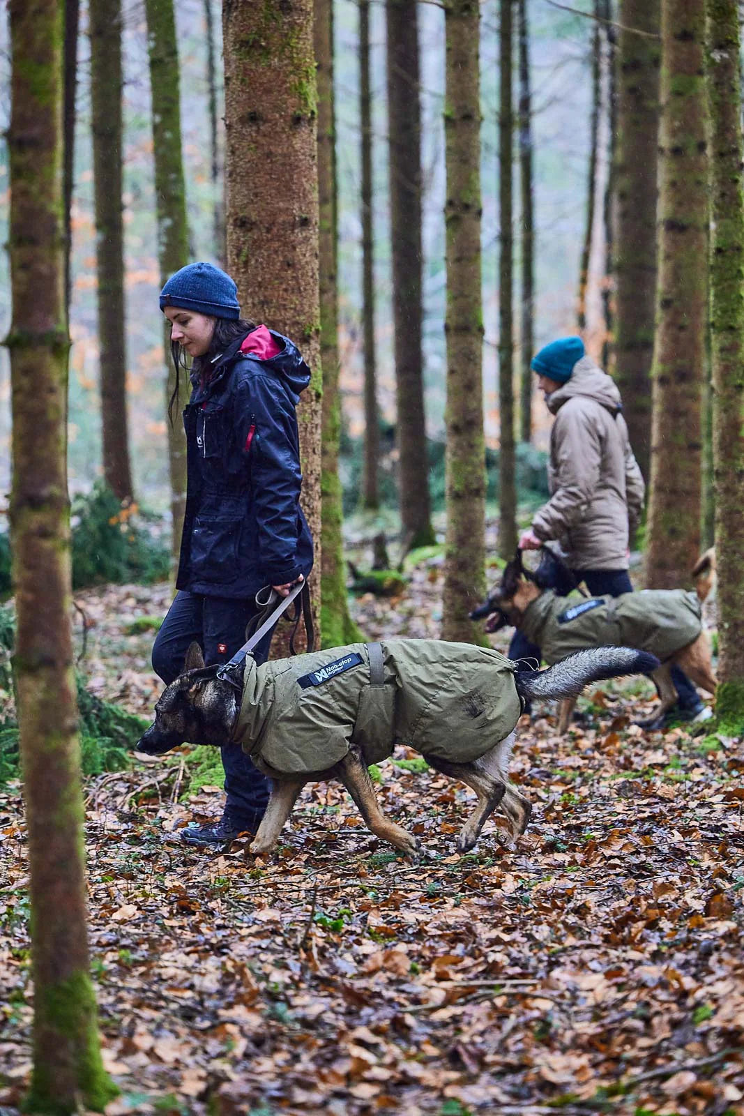 Dog jacket for work & service - Glacier K9 jacket WD