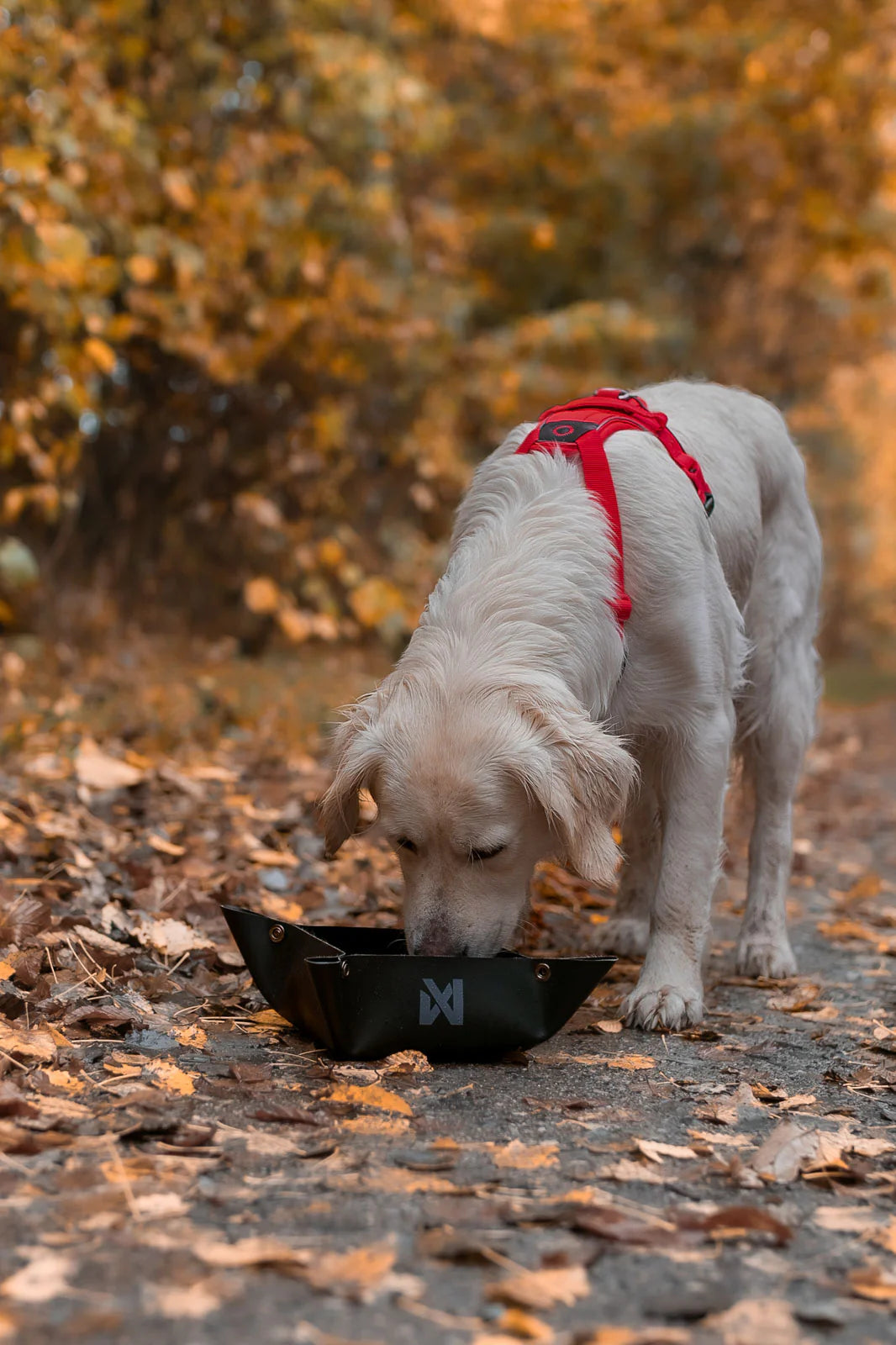 Soft & practical dog bowl - Trekking Bowl