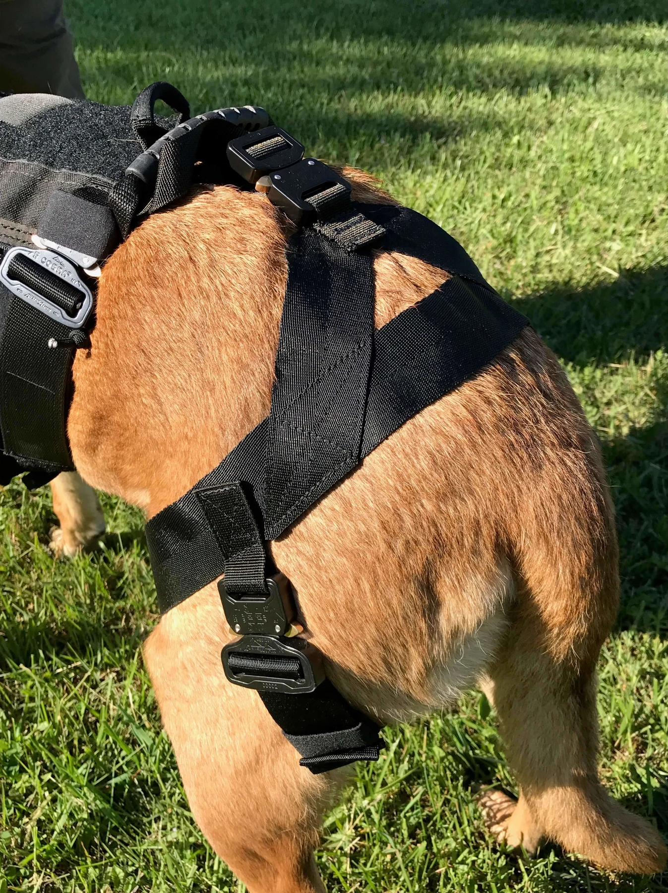 Sele för firning med hund - Hoisting Leg Straps - Working K9 Scandinavia