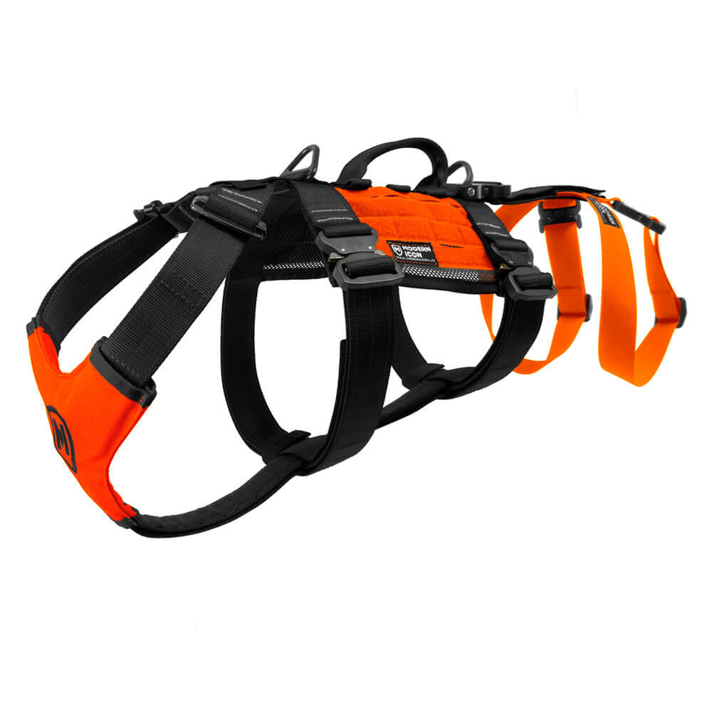 Hundsele för firning och lyft till tjänstehund - Rappelling Harness - Working K9 Scandinavia