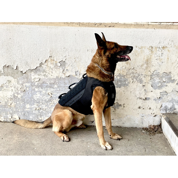 3 things to consider when buying a K9 Tactical Vest