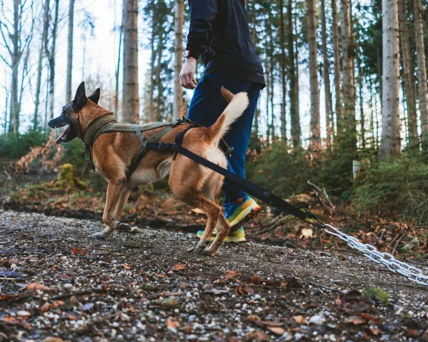 Pulling Attachment WD – för viktträning med låg dragpunkt