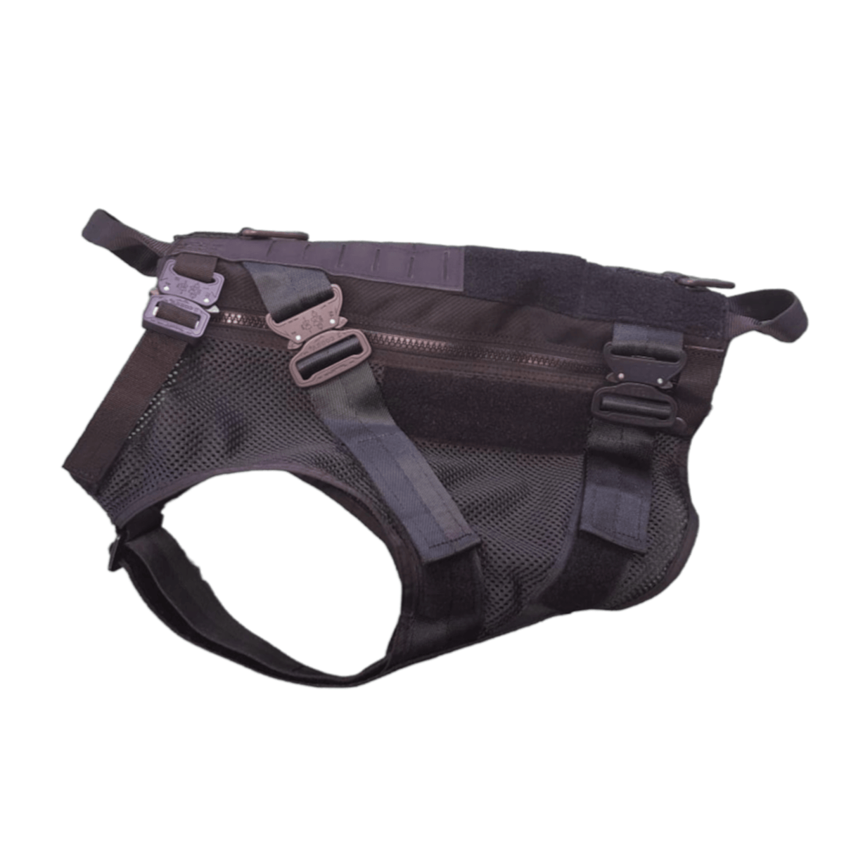 AssaultVest9-flipped._square.