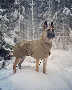 Glacier Jacket - warm K9 jacket for service dogs