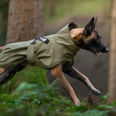 Active service dog wearing a Fjord Raincoat WD, running through the forest in rugged outdoor conditions.