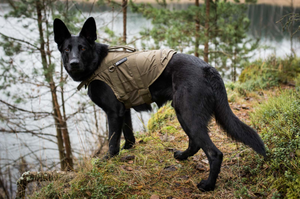 Safe K9 Life Jacket - flytväst för hund