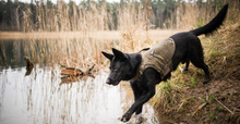 Load image into Gallery viewer, Safe K9 Life Jacket
