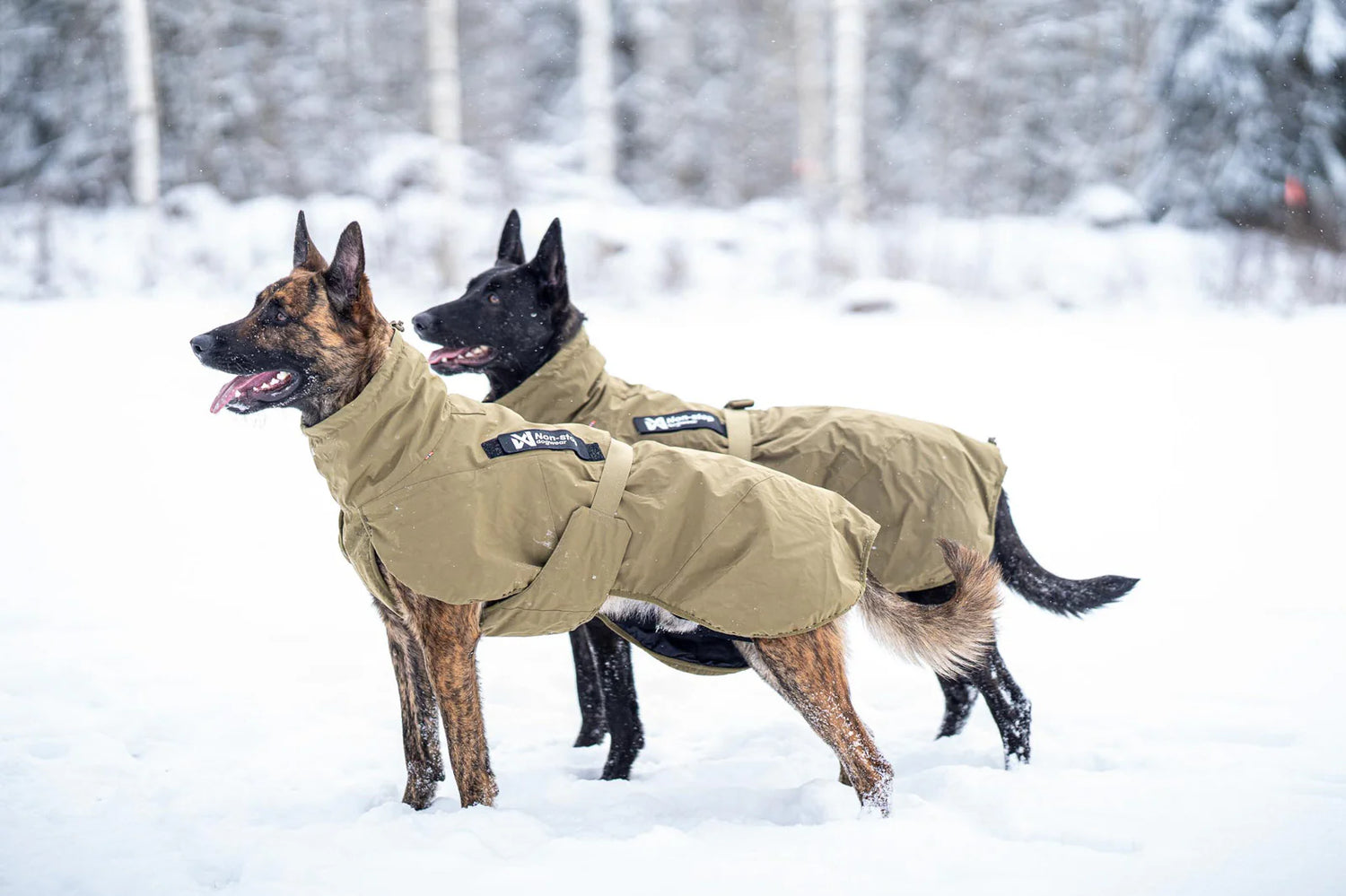 Dog jacket for work & service - Glacier K9 jacket WD