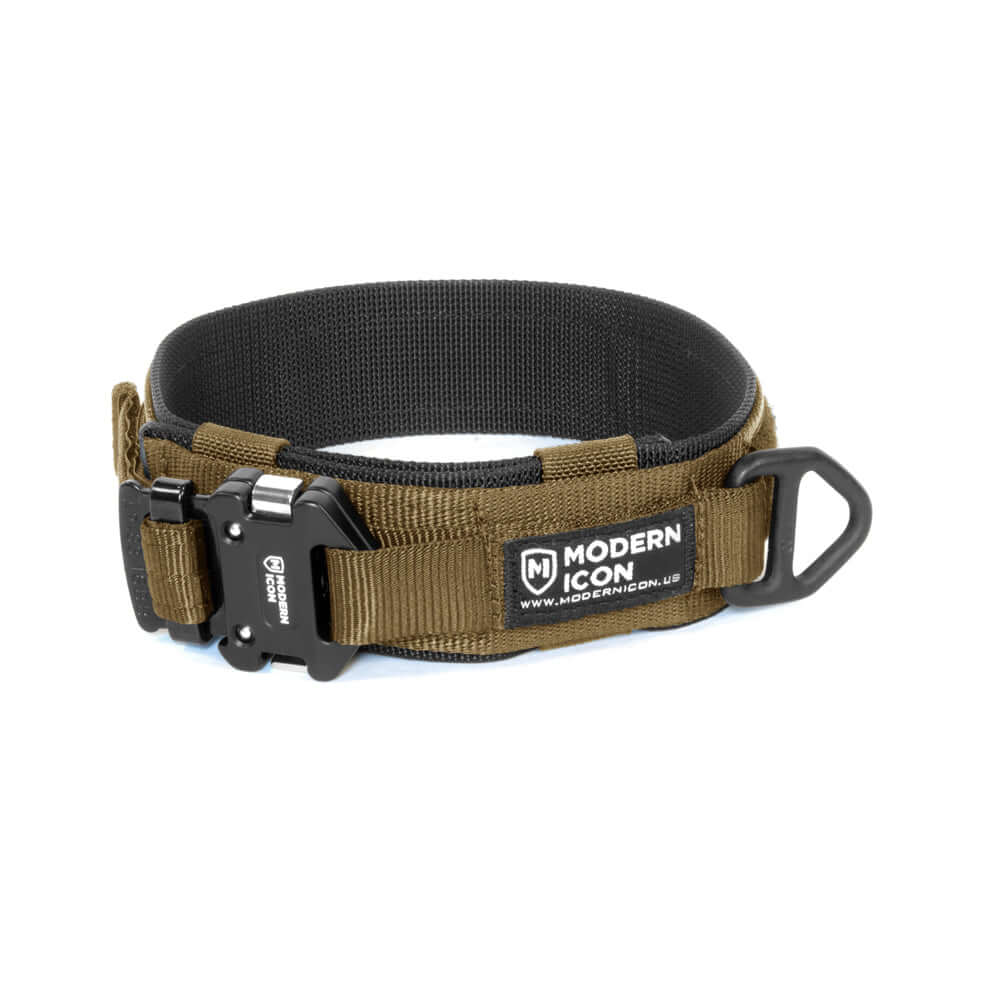 Hundehalsband für Diensthunde, Gebrauchshunde und IGP – 2″ starres Hal –  Working K9 Scandinavia