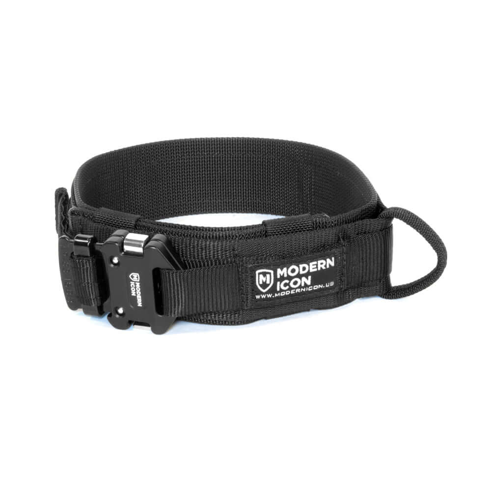 CG94 Hundehalsband 35 Cm – Vernickeltes Eisen, Verstellbar Mit Leiter, Inklusive Erkennungsmarke