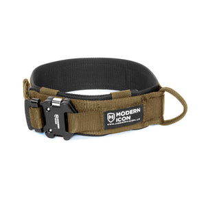 Hundhalsband för tjänstehund, bruks och IGP - 2″ Rigid Collar - Working K9 Scandinavia