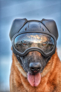 DarkFighter K9 Helmet