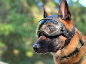 DarkFighter K9 Helmet