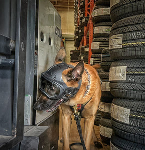 DarkFighter K9 Helmet