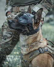 Load image into Gallery viewer, DarkFighter K9 Helmet
