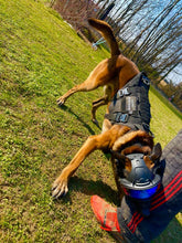 Load image into Gallery viewer, DarkFighter K9 Helmet
