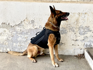 Skyddsväst för hund - Ballistic K9 Carrier - Working K9 Scandinavia