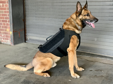 Ladda upp bild till gallerivisning, Skyddsväst för hund - Ballistic K9 Carrier - Working K9 Scandinavia
