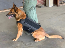Ladda upp bild till gallerivisning, Skyddsväst för hund - Ballistic K9 Carrier - Working K9 Scandinavia
