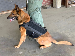 Skyddsväst för hund - Ballistic K9 Carrier - Working K9 Scandinavia