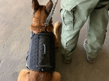 Ladda upp bild till gallerivisning, Skyddsväst för hund - Ballistic K9 Carrier - Working K9 Scandinavia

