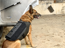 Ladda upp bild till gallerivisning, Skyddsväst för hund - Ballistic K9 Carrier - Working K9 Scandinavia
