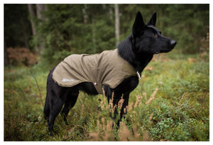 Blest Jacket - lightweight dog jacket ideal for both activity and rest.